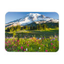 Search for flower magnets Landscape