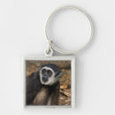 Search for gibbon accessories Animal