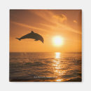 Search for jumping dolphin magnets Animal