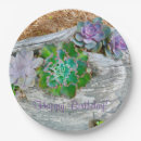 Search for succulent plates Birthday