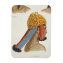 Search for tribe magnets Century