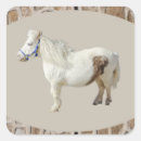 Search for animal friends stickers Horse