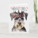 Search for schnauzer birthday cards Dogs