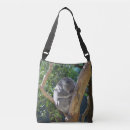 Search for cuddly bags Koala