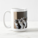 Search for gray tabby mugs White