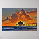 Search for skateboard posters Surfing