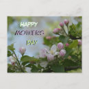 Search for blossoming postcards For her