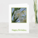 Search for oleander Pretty