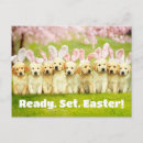 Search for bunny invitations Funny