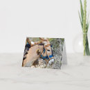 Search for animal note cards Donkey