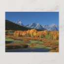 Search for dee cards invites Autumn