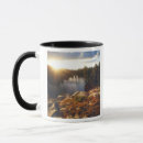 Search for sierra nevada mugs Forest