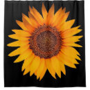 Search for sunflower shower curtains Modern