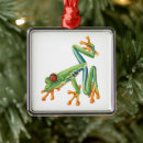 Search for poison christmas tree decorations Frog