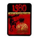 Search for new born magnets Chinese new year