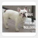 Search for french bulldog love stickers Pet