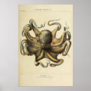 Search for vintage octopus posters Kraken
