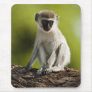Search for kenya mousepads Savannah