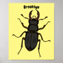 Search for insect posters Beetles