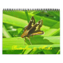 Search for moth calendars Nature