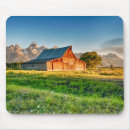 Search for tetons electronics United states