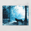 Search for black wolf postcards Forest