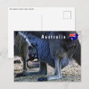 Search for pouch postcards Animal