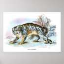 Search for vintage animal illustration posters Nature