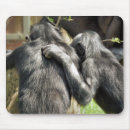 Search for ape mousepads Chimpanzees