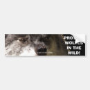 Search for wolf face bumper stickers Grey wolves
