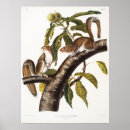 Search for gliders art Animals