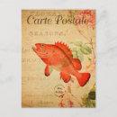 Search for vintage fishing postcards France