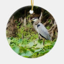 Search for great blue heron christmas tree decorations Florida