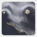 Search for water island stickers Ocean