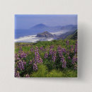 Search for coastline badges Flower