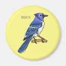 Search for blue jay magnets Cyanocitta cristata