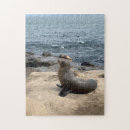 Search for lion puzzles Seal