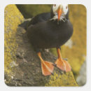 Search for alaska fish stickers Ocean