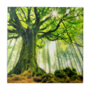 Search for beech tiles Nature