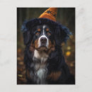 Search for berner postcards Adorable