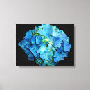 Search for blue hydrangea canvas prints Floral