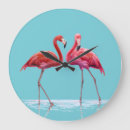 Search for flamingo clocks Nature