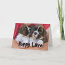 Search for love pet cards Puppies