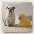 Search for duck coasters Bathtub