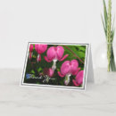 Search for bleeding heart cards Photography