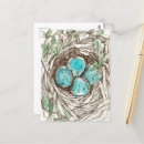 Search for nests postcards Bird nest