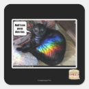 Search for i pooped stickers I can has cheezburger