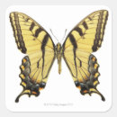 Search for close stickers Photography