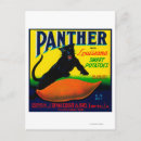 Search for yams postcards Lantern