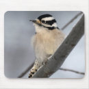 Search for woodpecker mousepads Nature
